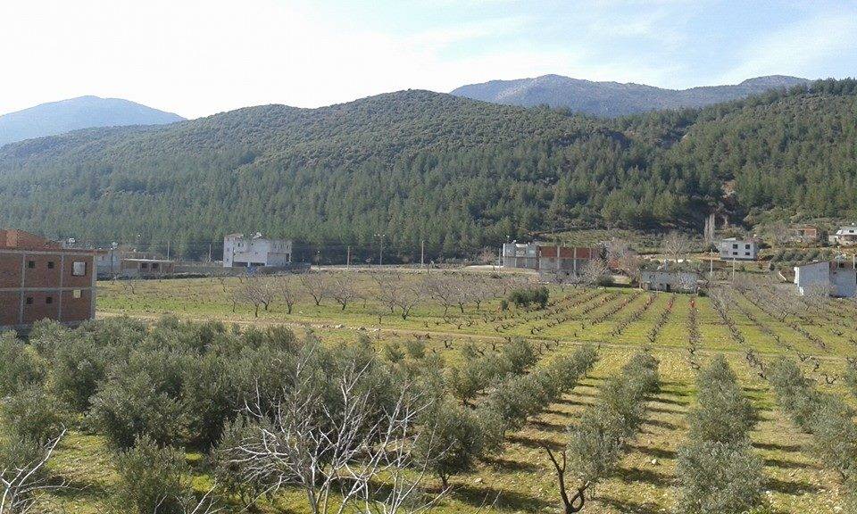 İslahiye Sulumağara Köyü Resimleri 1