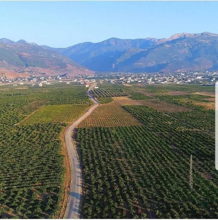 İslahiye Tandır Köyü Resimleri 10