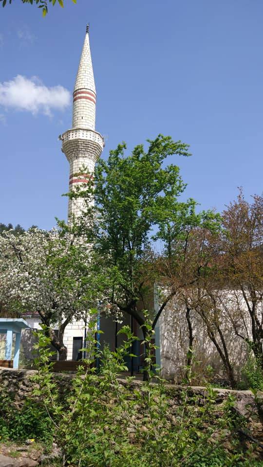 İslahiye Tandır Köyü Resimleri 7
