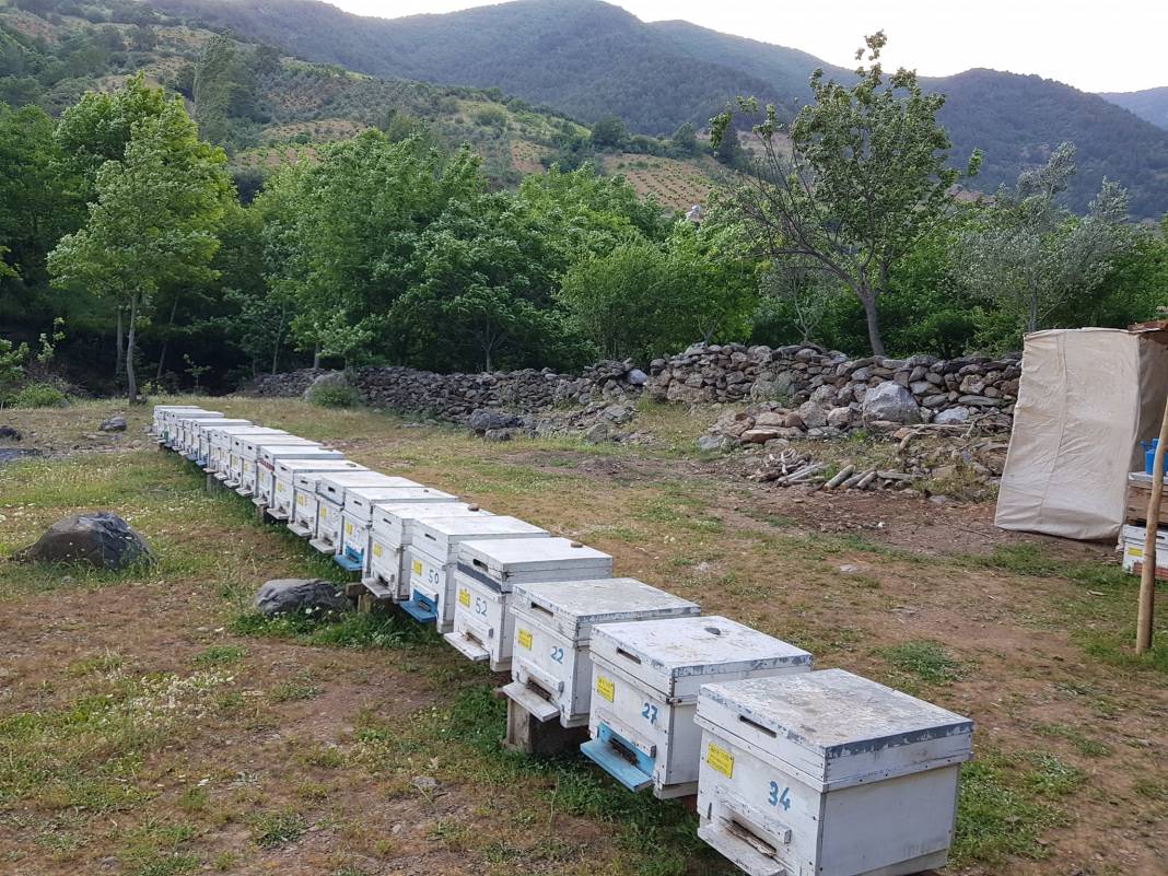 İslahiye Tandır Köyü Resimleri 8