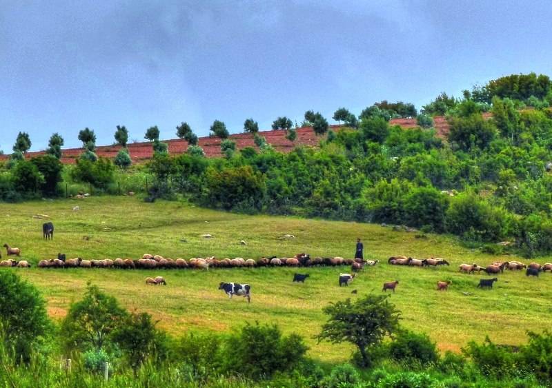 İslahiye Telli Köyü Resimleri 4