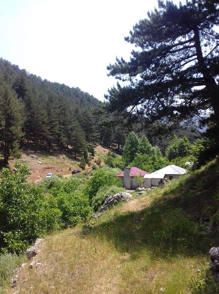 İslahiye Telli Köyü Resimleri 9