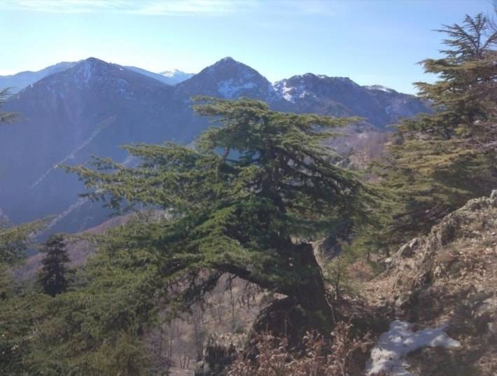 İslahiye Yağızlar Köyü Resimleri 4