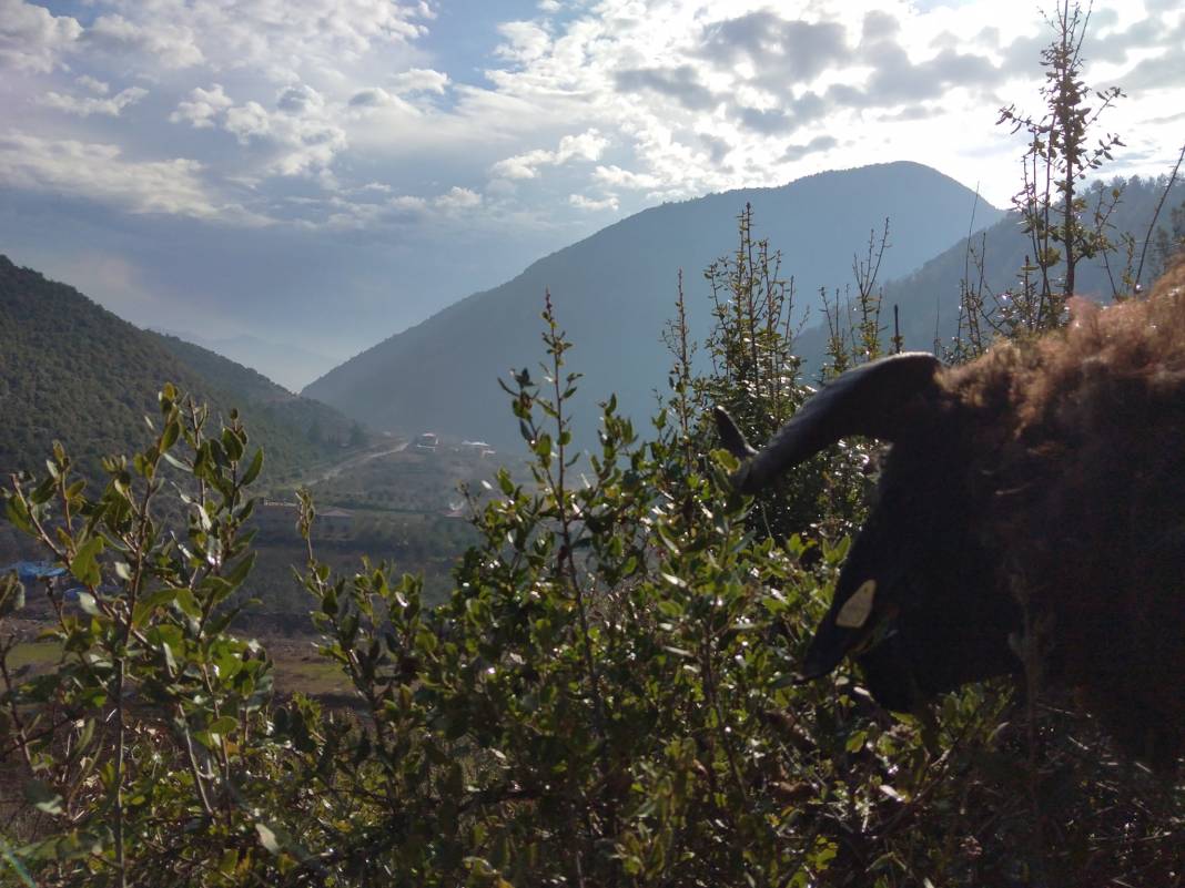 İslahiye Yağızlar Köyü Resimleri 6