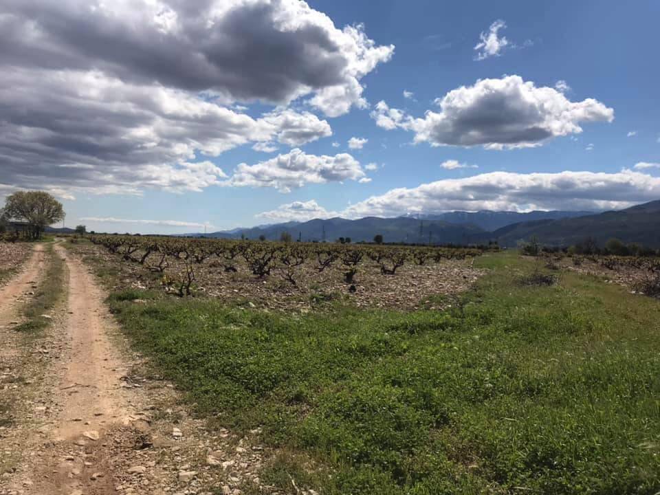 İslahiye Yeni Köyü Resimleri 1