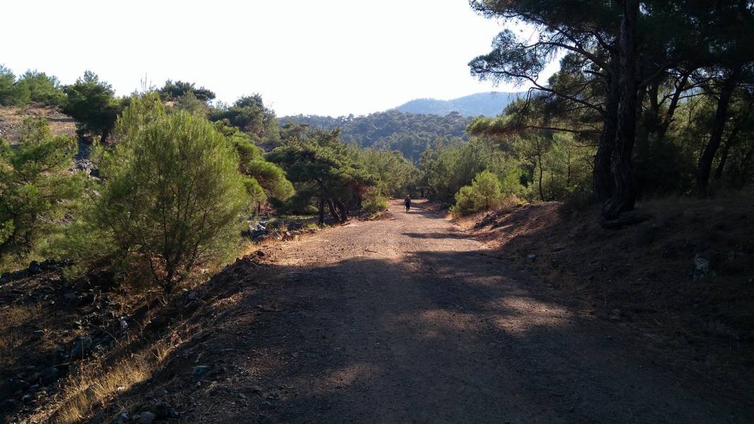 İslahiye Yeniceli Köyü Resimleri 1