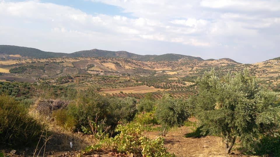 İslahiye Yeniceli Köyü Resimleri 7