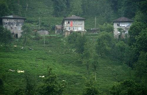 İslahiye Yeniköy Köyü Resimleri 2