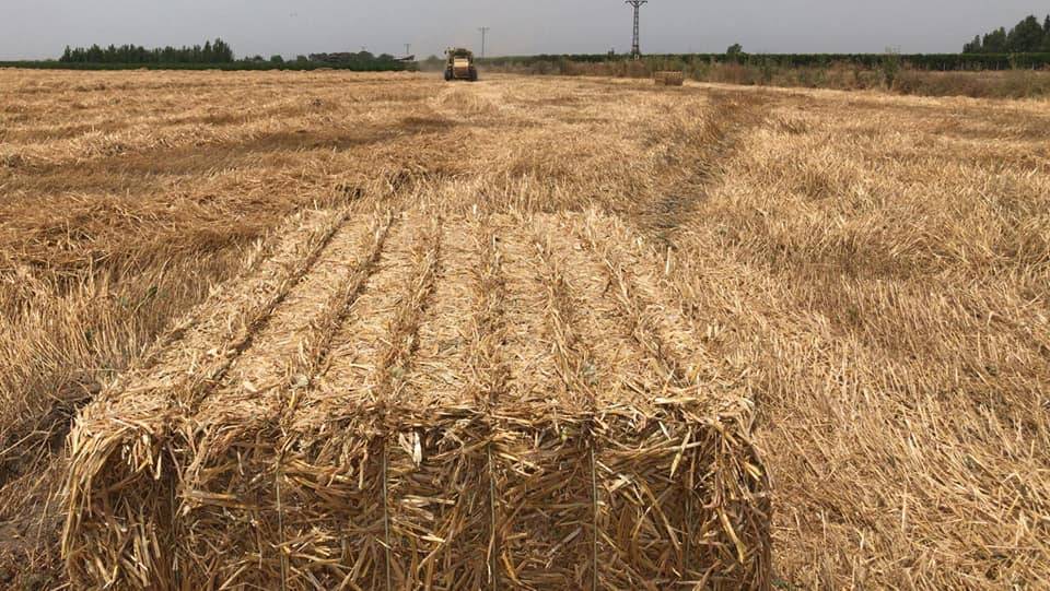 İslahiye Yeşilova Köyü Resimleri 5