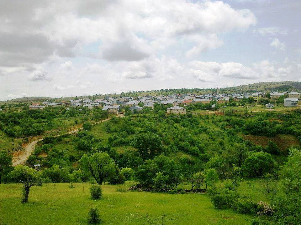 Arapgir Çimen Köyü Resimleri 8