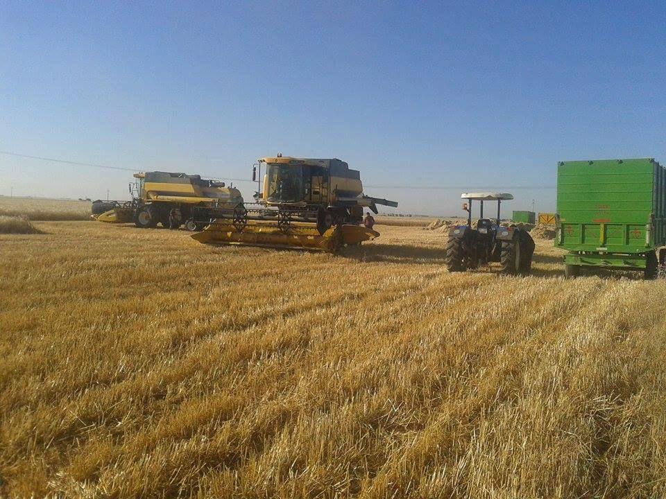 Derik Çadırlı Köyü Resimleri 1