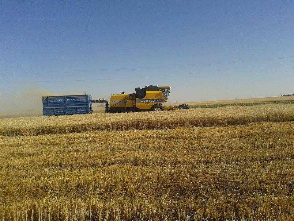 Derik Çadırlı Köyü Resimleri 2