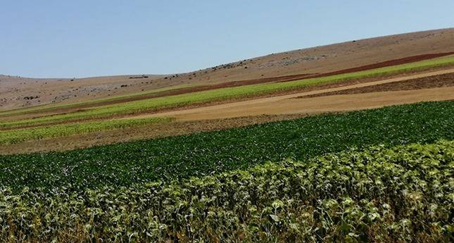 Aslanapa Kureyşler Köyü Resimleri 4