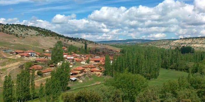 Aslanapa Kureyşler Köyü Resimleri