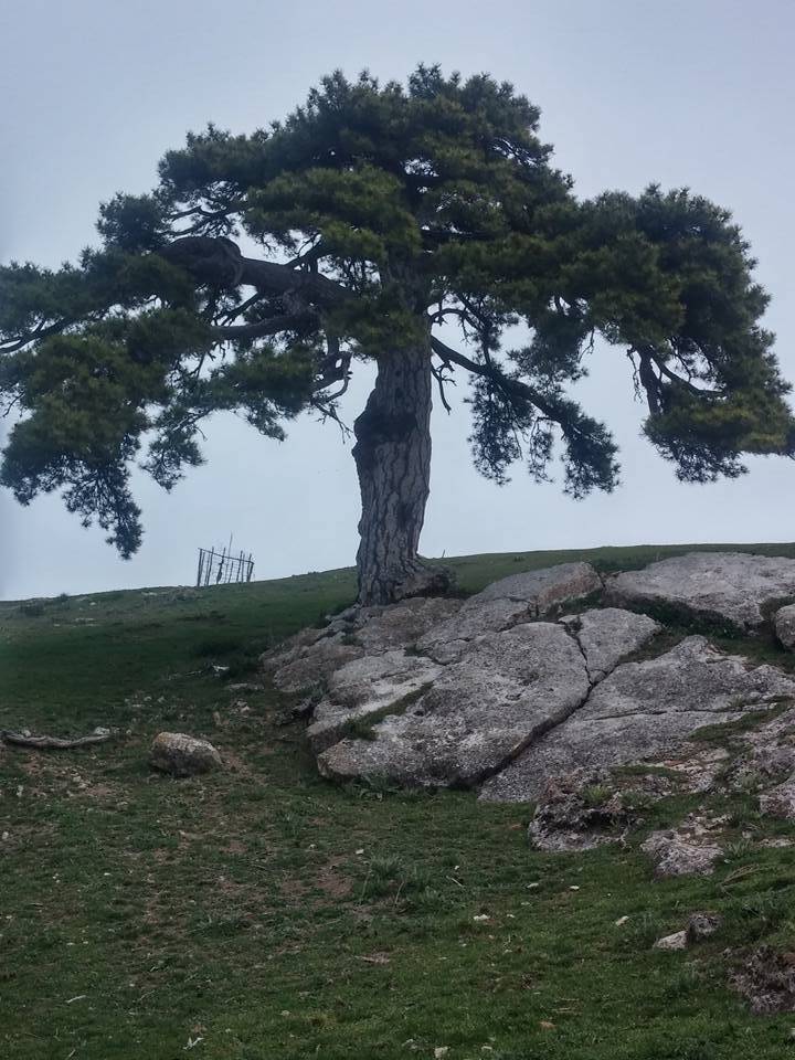 Aslanapa Musaköy Köyü Resimleri 3