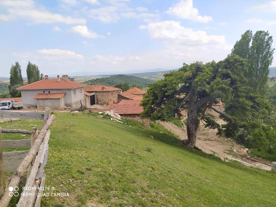 Aslanapa Musaköy Köyü Resimleri 4