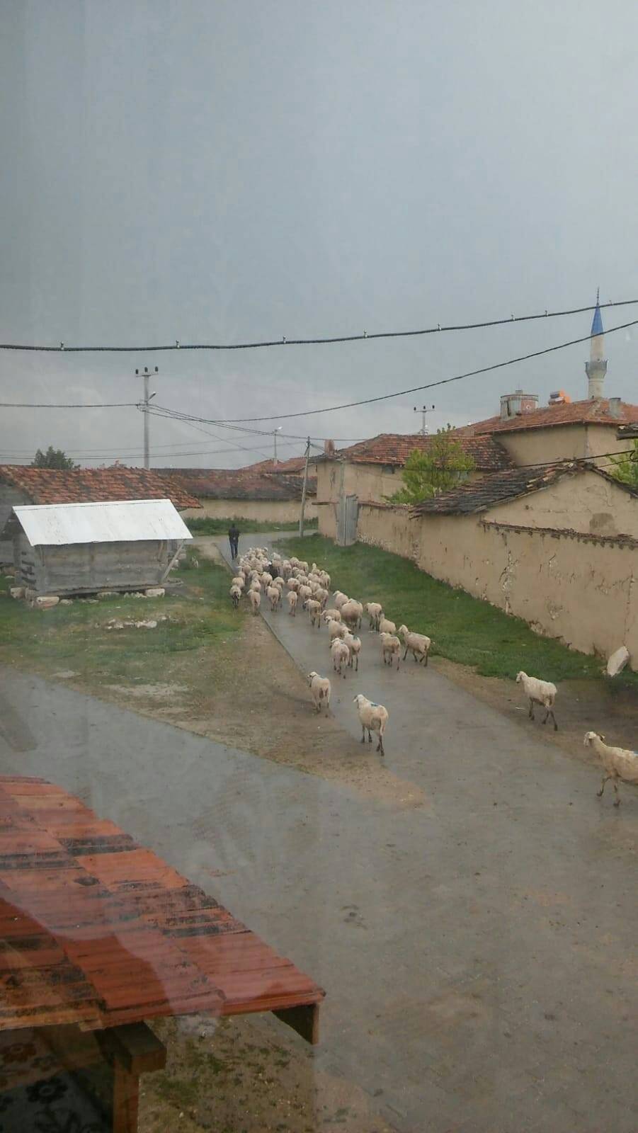 Aslanapa Nuhören Köyü Resimleri 4