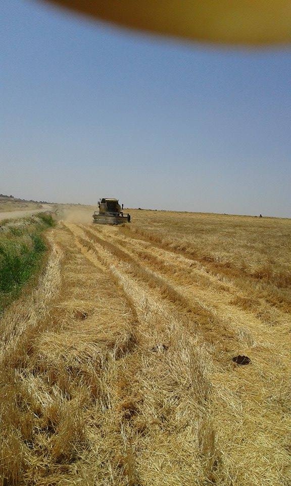 Derik Çataltepe Köyü Resimleri 3