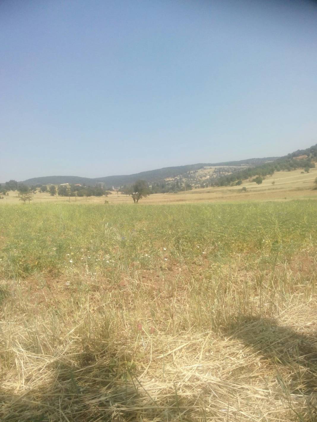 Aslanapa Şenişler Köyü Resimleri 2