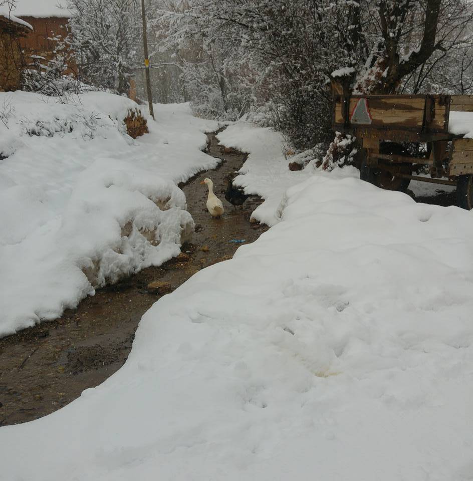 Aslanapa Şenişler Köyü Resimleri 4