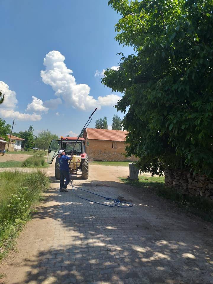 Aslanapa Terziler Köyü Resimleri 1