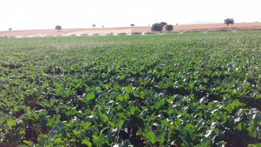 Aslanapa Terziler Köyü Resimleri 10