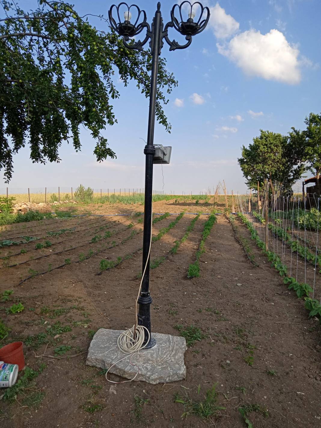 Aslanapa Terziler Köyü Resimleri 6