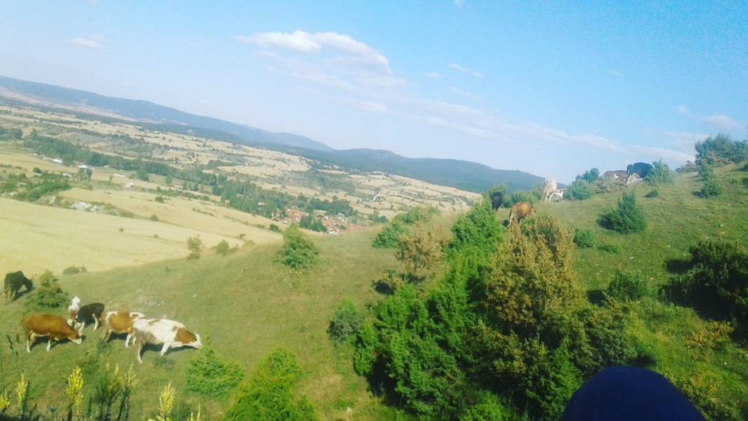 Aslanapa Tokul Köyü Resimleri 6