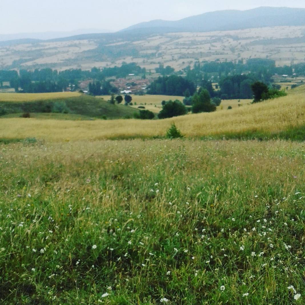 Aslanapa Tokul Köyü Resimleri 7