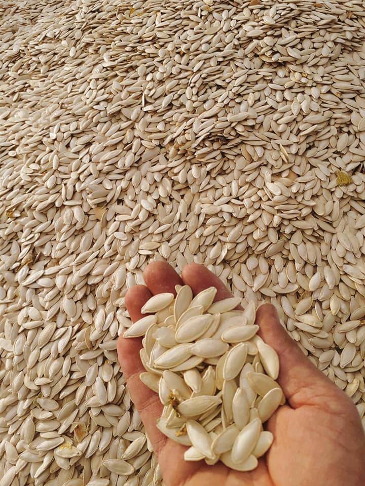 Çavdarhisar Ağarı Köyü Resimleri 11