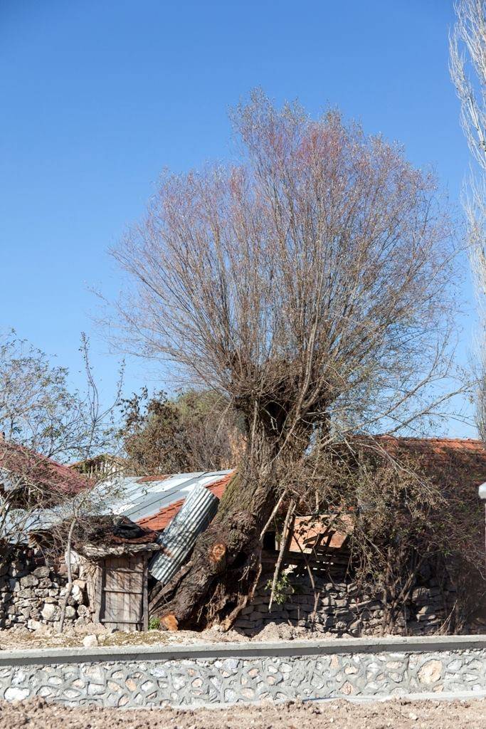 Çavdarhisar Ağarı Köyü Resimleri 6