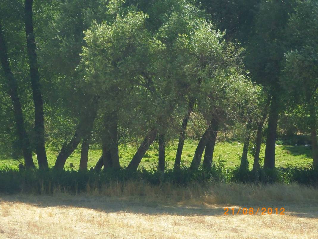 Çavdarhisar Akpınar Köyü Resimleri 14