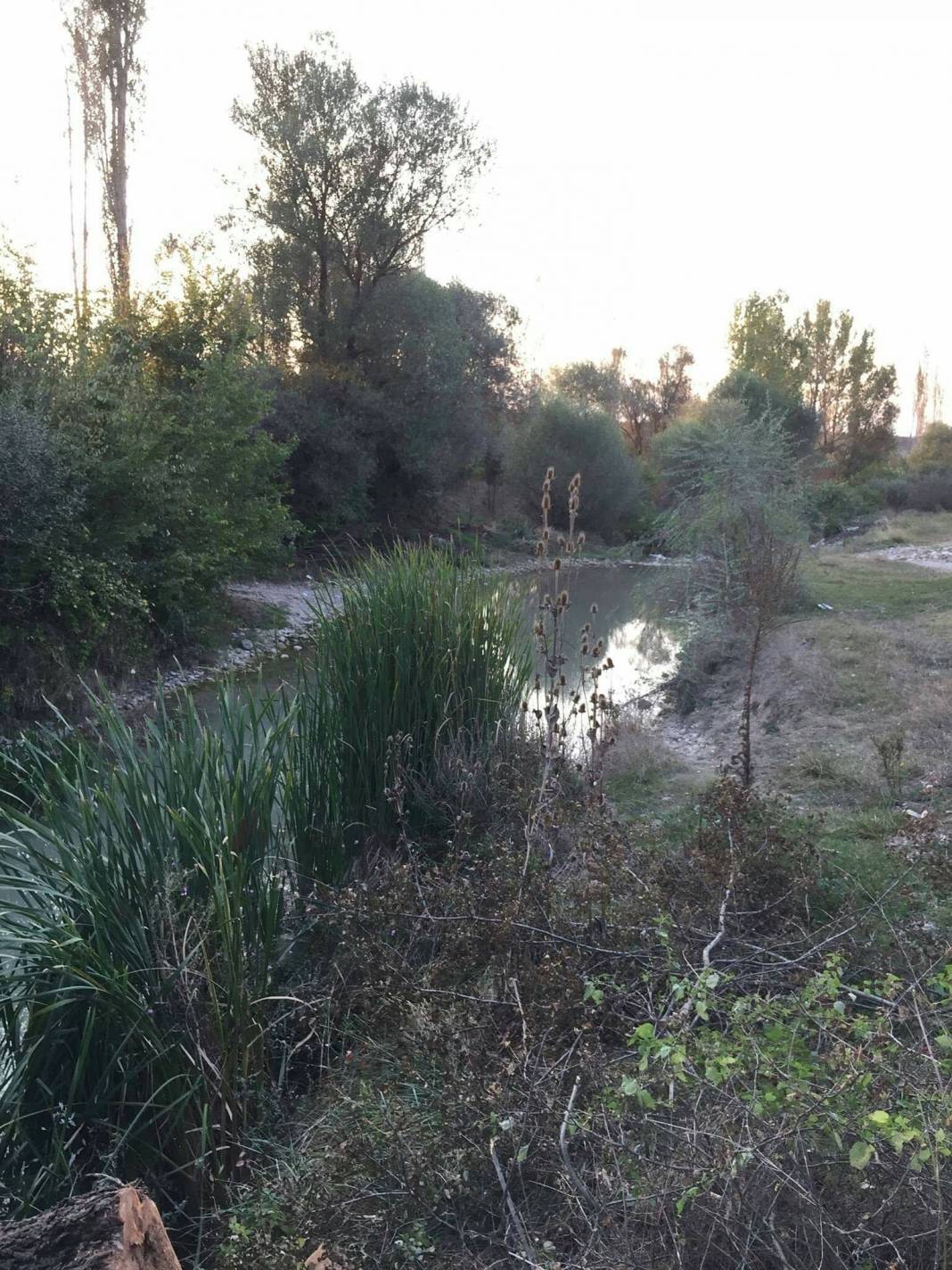 Çavdarhisar Barağı Köyü Resimleri 2