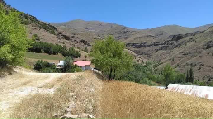 Arapgir Yeşilyayla Köyü Resimleri 2