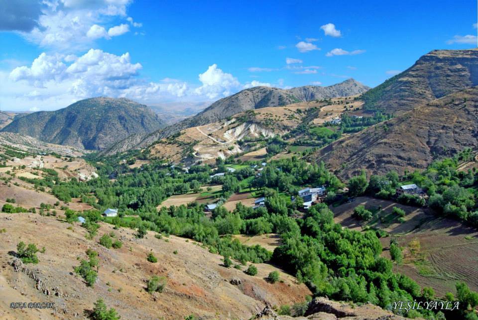 Arapgir Yeşilyayla Köyü Resimleri 3
