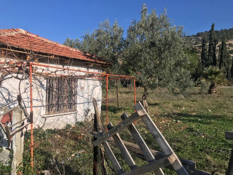 Akhisar Harmandalı Köyü Resimleri 2