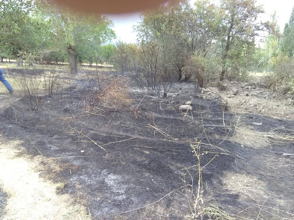 Arguvan Bozan Köyü Resimleri 11