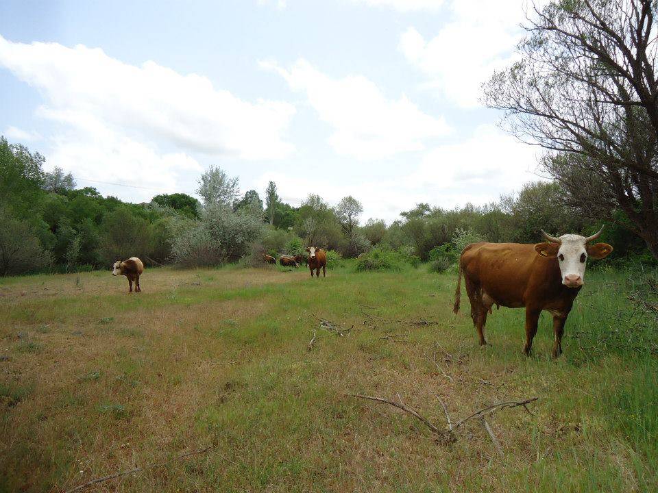 Arguvan Bozan Köyü Resimleri 12