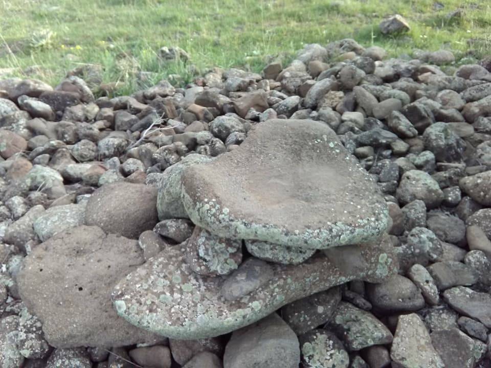 Arguvan Bozan Köyü Resimleri 9