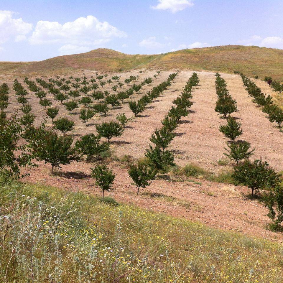 Arguvan Doydum Köyü Resimleri 2