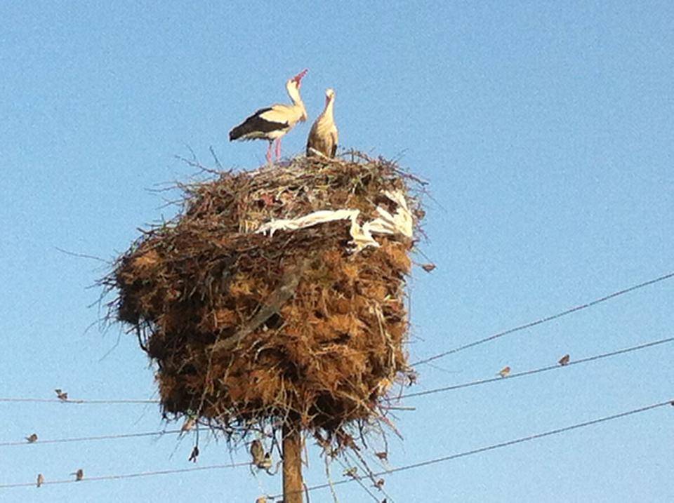 Arguvan Doydum Köyü Resimleri 4