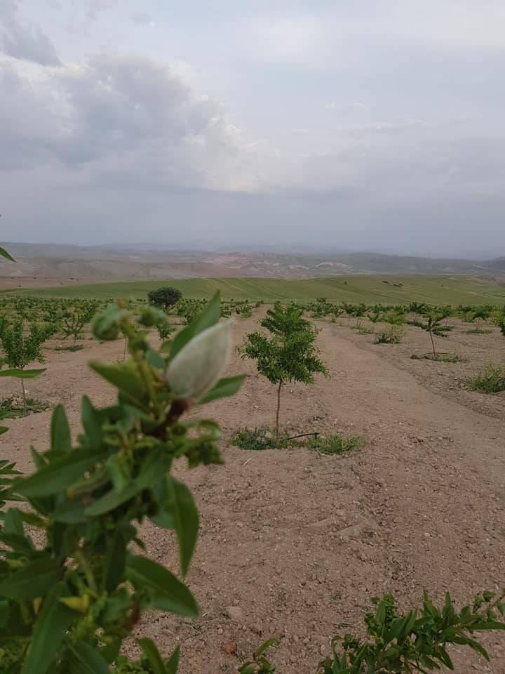 Arguvan Doydum Köyü Resimleri 5