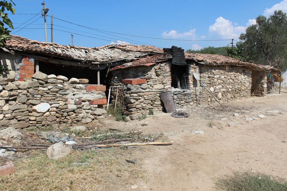 Akhisar Hasköy Köyü Resimleri 13