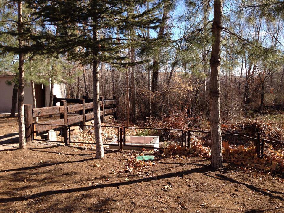 Arguvan Kızık Köyü Resimleri 2