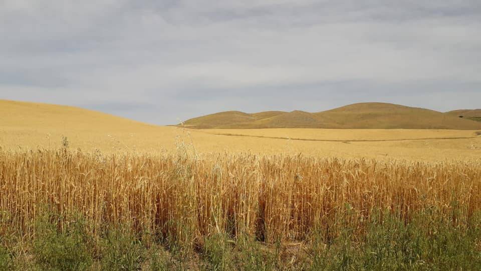 Arguvan Kızık Köyü Resimleri 6