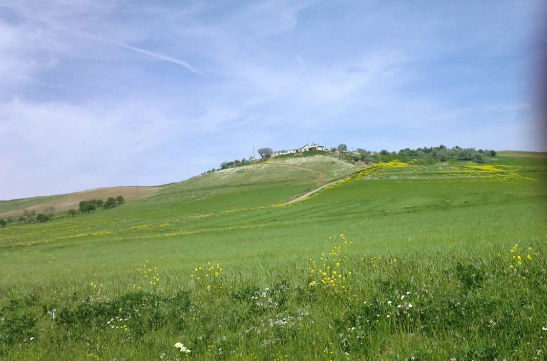 Arguvan Tarlacık Köyü Resimleri 5