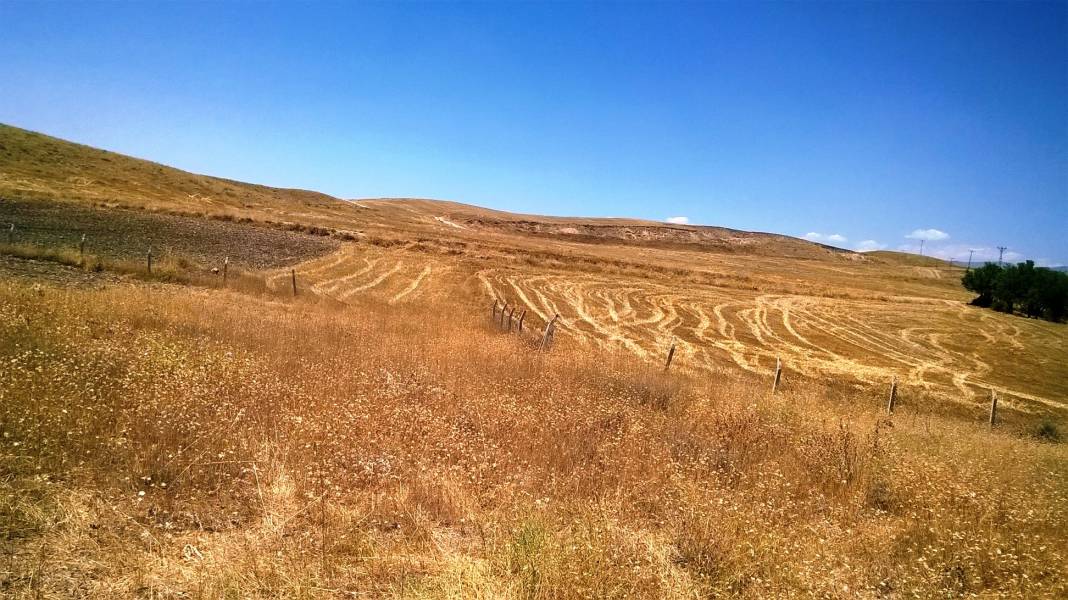 Arguvan Tarlacık Köyü Resimleri 9