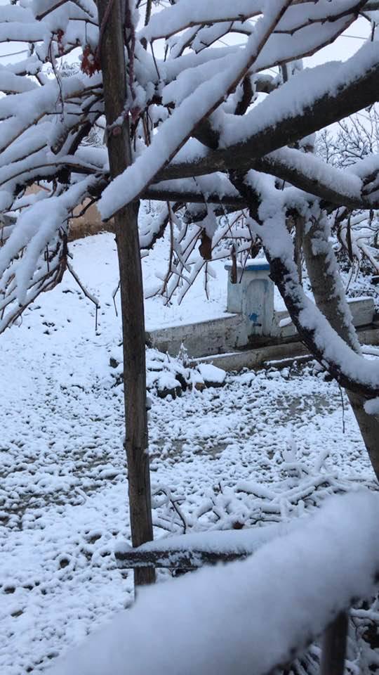 Arguvan Yamaç Köyü Resimleri 7