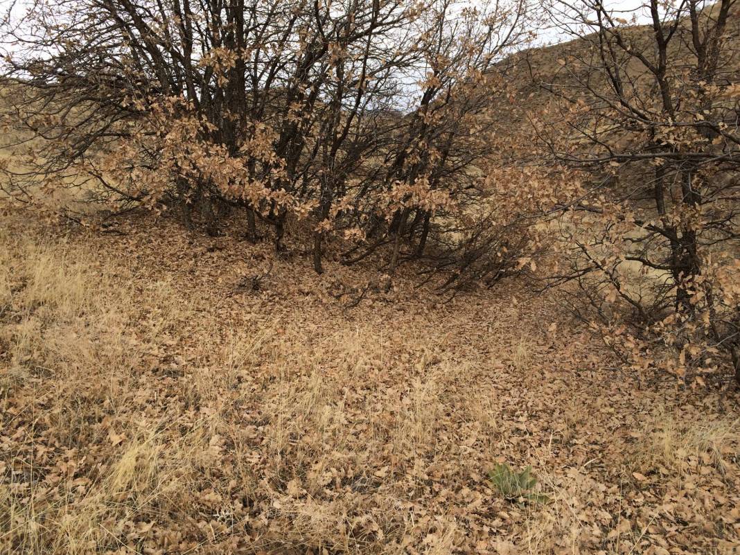 Arguvan Yenisu Köyü Resimleri 9