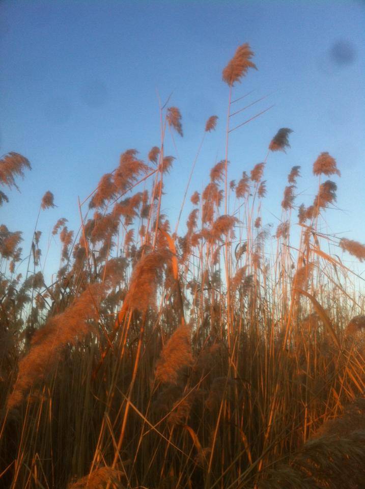 Battalgazi Adagören Köyü Resimleri 3